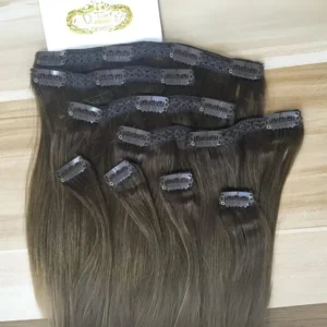 Straight Hair Clip-In (South Indian Raw)